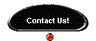 Contact Us!